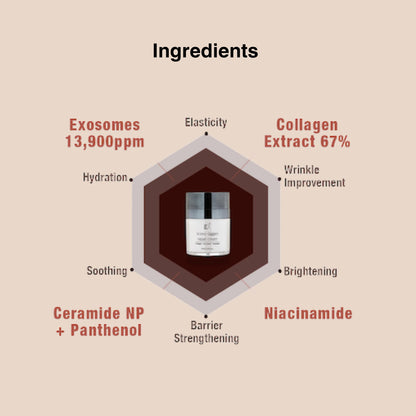 KI Exo-Laggen Repair Cream with Ectoin & Panthenol – Korean Sensitive Skin Recovery Moisturizer
