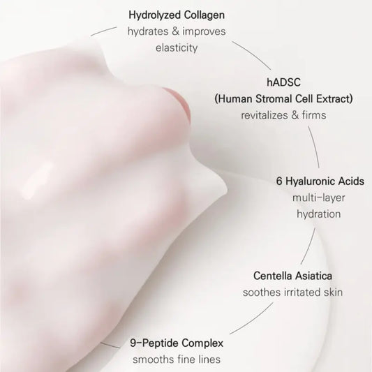 [Blanc Dubu] Nuborn Cell Hydrogel Collagen Neck Mask (5 pcs)