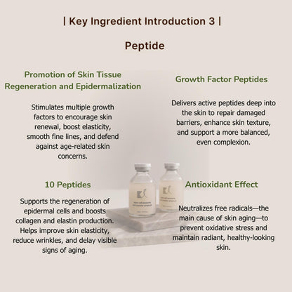 KI Stem-Cell Exosome Booster Kit Anti-Aging & Brightening Ampoule Set Glowing Plum for Intensive Repair & Visible Renewal&microneedking ampoule