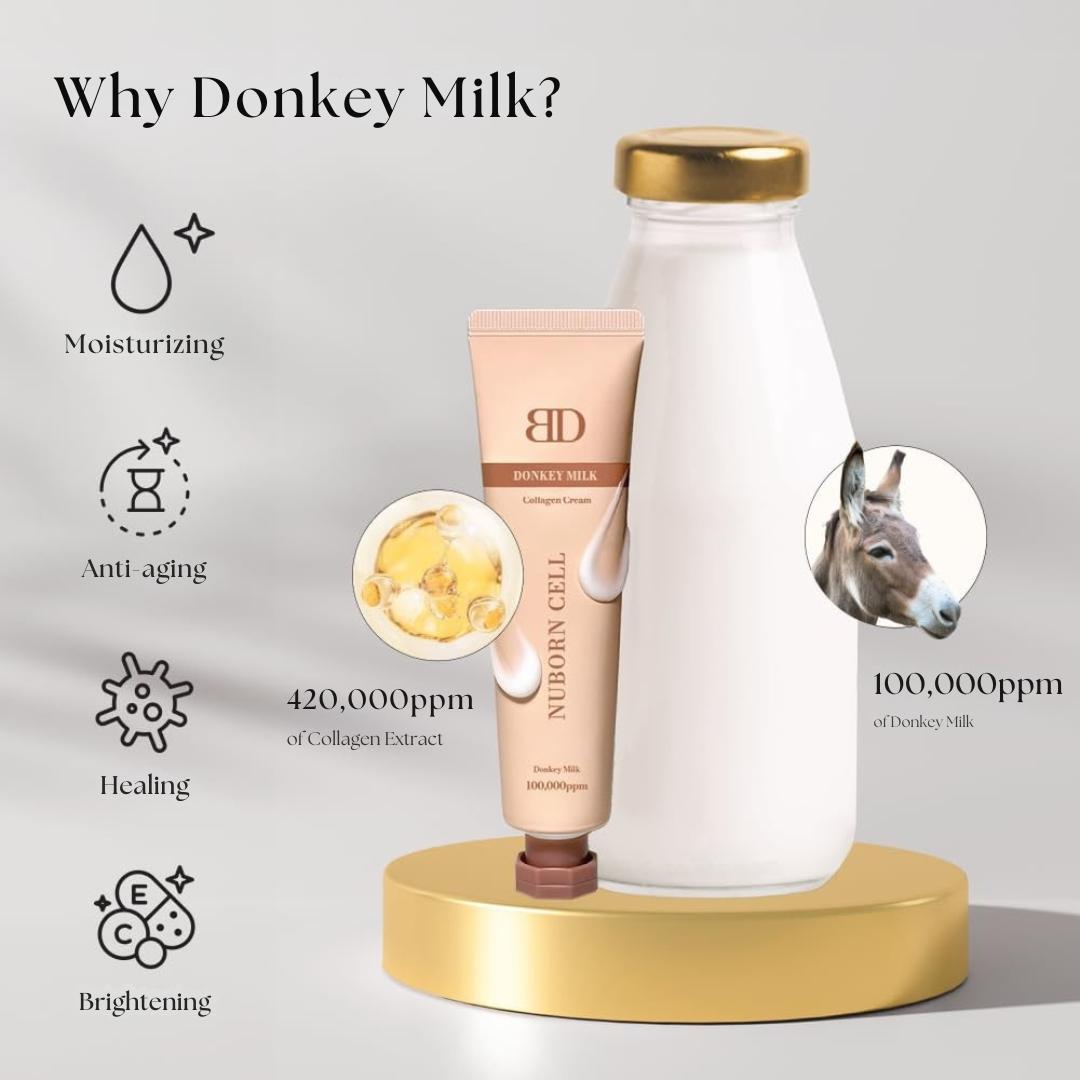 [Blanc Dubu] Nuborn Cell Donkey Milk Collagen Cream | Instant glow with 10% Donkey Milk | Type 1 Collagen for Visibly Smooth and Dewy Skin | All Skin Types 65ml